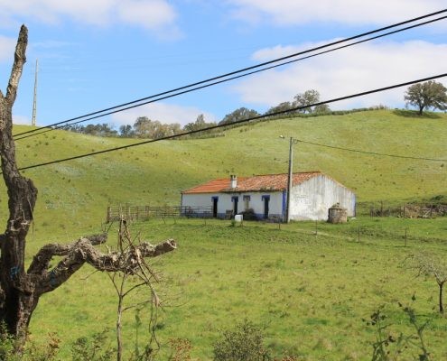Monte alentejano; Odemira; Alentejo; Portugal