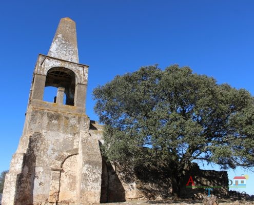 Igreja em ruínas e árvore