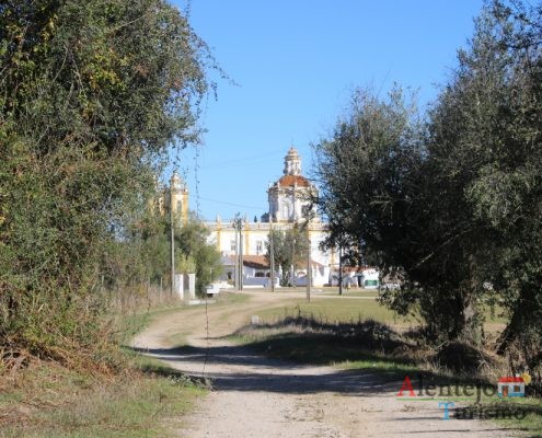 Oliveiras e igreja