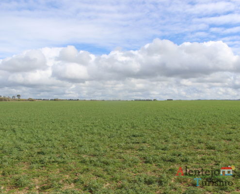 Campo verde e céu com nuvens