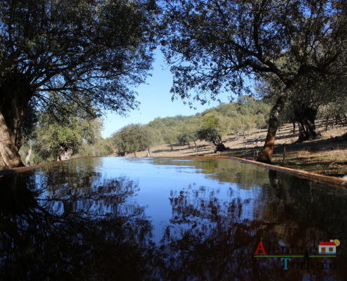 Natureza refletida na água