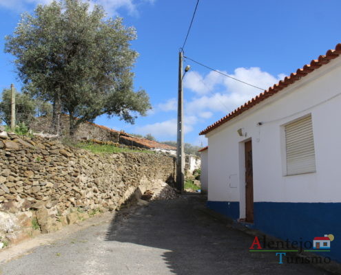 Rua alentejana com oliveira
