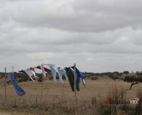 Roupa estendida em varal na planície