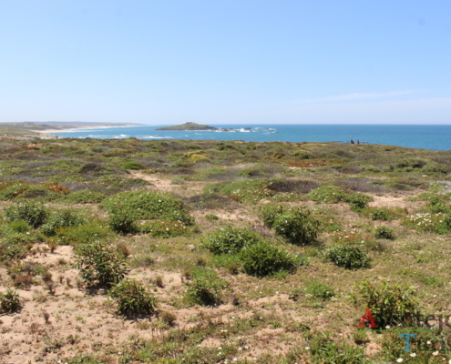 Trilho dos Pescadores - Parque Natural do Sudoeste Alentejano e Costa Vicentina