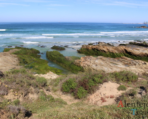 Parque Natural do Sudoeste Alentejano e Costa Vicentina