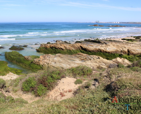 Parque Natural do Sudoeste Alentejano e Costa Vicentina