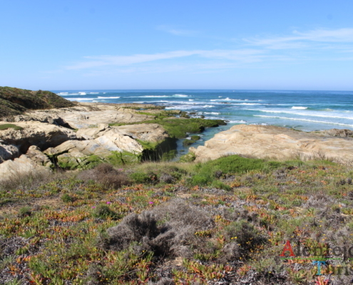 Parque Natural do Sudoeste Alentejano e Costa Vicentina