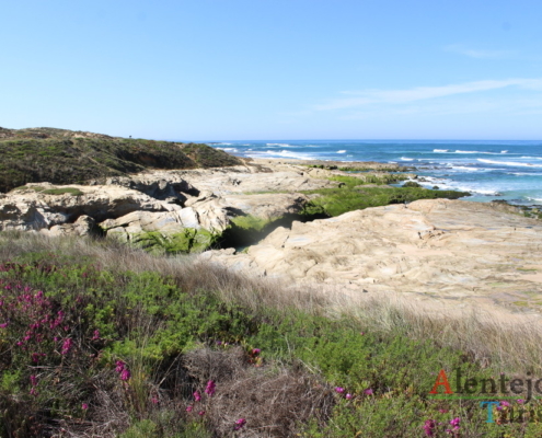 Parque Natural do Sudoeste Alentejano e Costa Vicentina