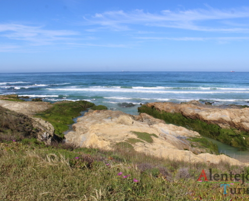 Parque Natural do Sudoeste Alentejano e Costa Vicentina