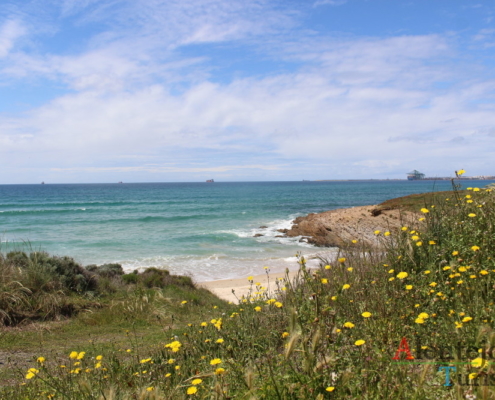 Parque Natural do Sudoeste Alentejano e Costa Vicentina