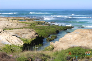 Parque Natural do Sudoeste Alentejano e Costa Vicentina