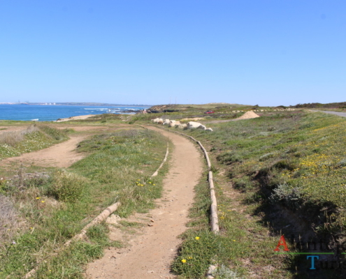 Caminho pedestre - Praia do Poro Covinho