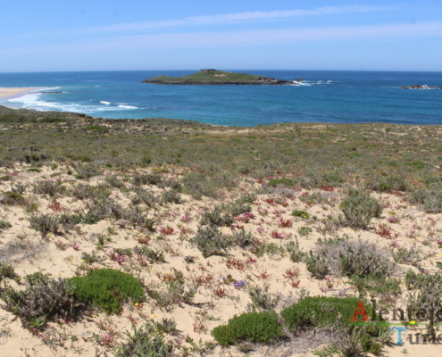Ilha do Pessegueiro.
