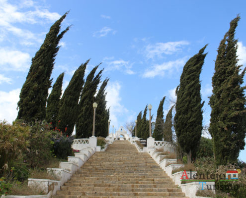 Escadaria ladeada de árvores