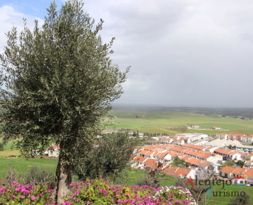 Oliveira e planície