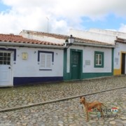 Rua de casas coloridas e cão
