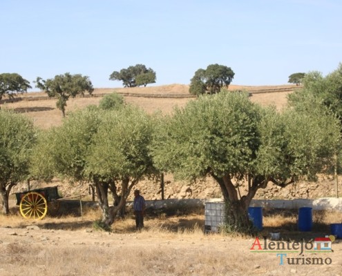 Museu vivo – Grandaços – Concelho de Ourique - Alentejo