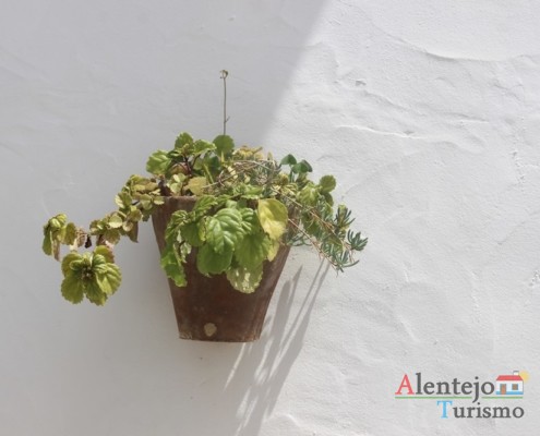 Vasos de flores na parede - Mouraria - Moura - Alentejo