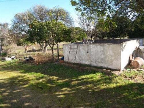 2b72428a164a9e7efad78be4f3384da1