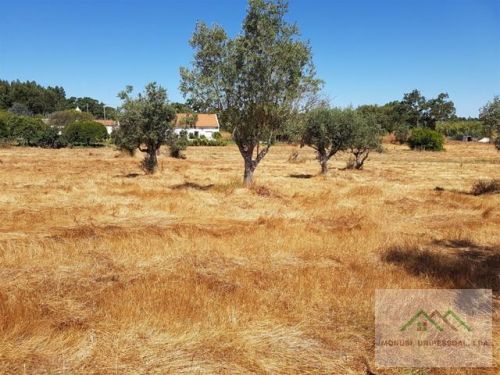 45ddd2e0e1bdeb1fbd99f8ba55dd0e65