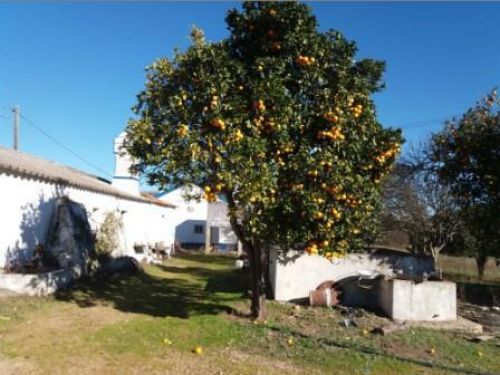 8fe521a701ac553db84a8fa7dad0844f