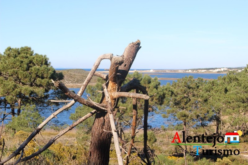 quinta3_outeiro_das_machadas10031