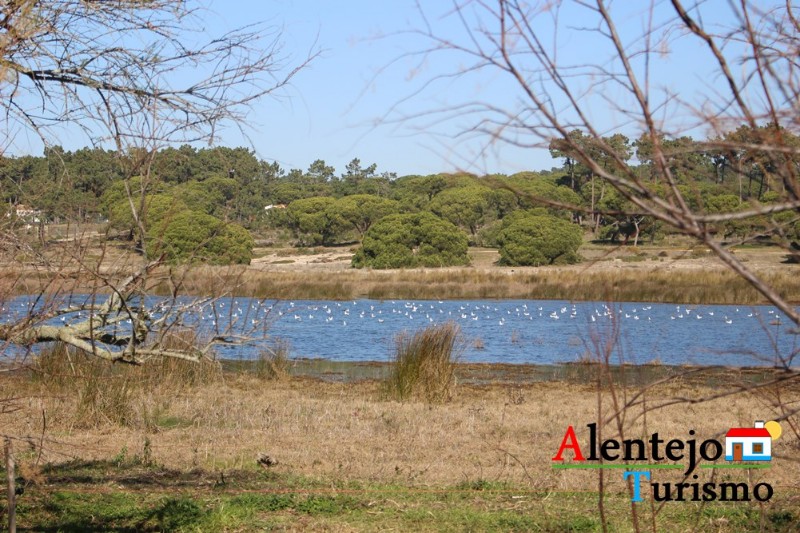 quinta3_outeiro_das_machadas10051