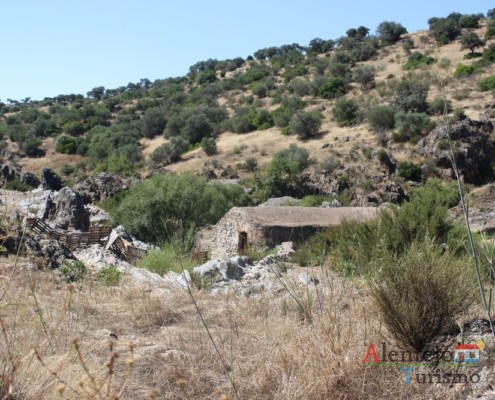 Porto de Santo Amador – Concelho de Moura - Alentejo