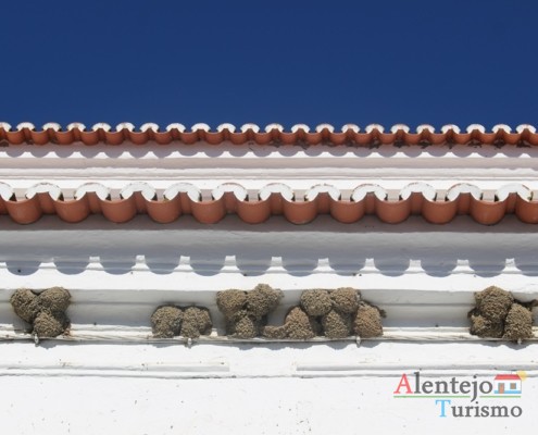 Beiral do telhado, com ninhos de andorinhas - São Pedro do Corval – Concelho de Reguengos de Monsaraz – Alentejo