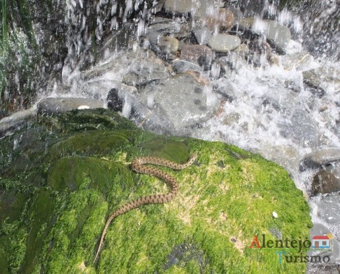 Cascatas das cobras – Praia da Amália – Concelho de Odemira - Alentejo