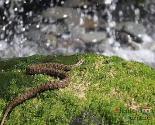 Cascatas das cobras – Praia da Amália – Concelho de Odemira - Alentejo
