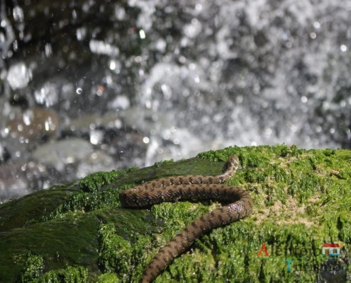 Cascatas das cobras – Praia da Amália – Concelho de Odemira - Alentejo
