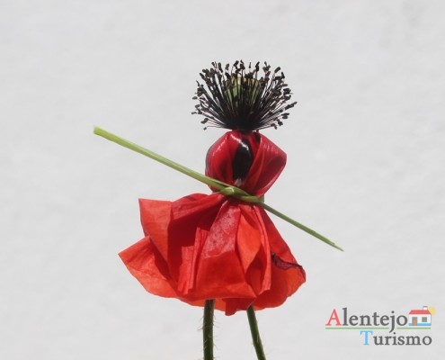 Papoila - boneca - brinquedos do Alentejo