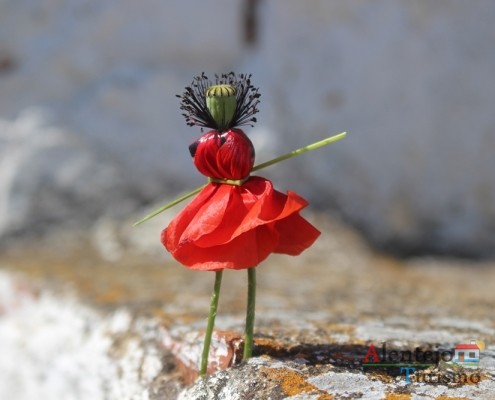 Papoila - boneca - brinquedos do Alentejo