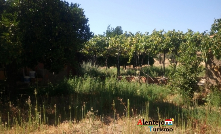 quinta a venda evora013 768x467