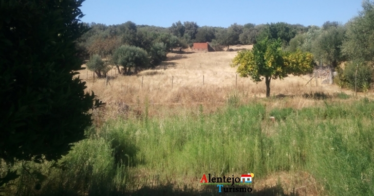 quinta a venda evora015 768x403