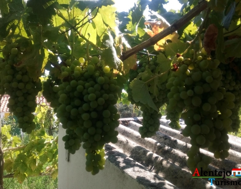 quinta a venda evora016 768x601