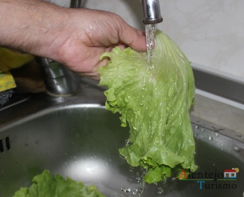 Sopas de alface