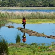 Lagoa de Santo André - Praia da Galé - Alentejana Guida Brito: considerada The best of 2020