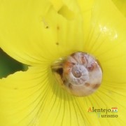 I Concurso fotográfico AlentejoTurismo “Olhar a primavera, no Alentejo”