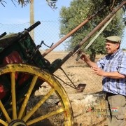 Labuta; expressões alentejanas; Alentejo; Portugal